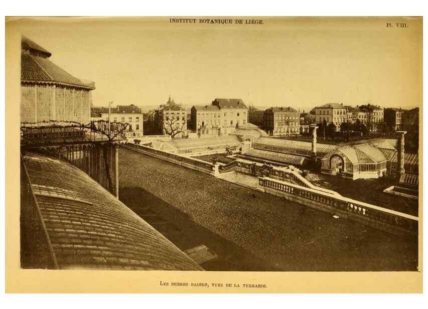 Reproducción/Reproduction 49127463847: Belgique horticole.. Liége.. 