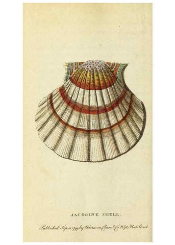 Reproducción/Reproduction 49095361327: The Naturalist's Pocket Magazine or compleat cabinet of the curiosities and beauties of nature.. London.. 