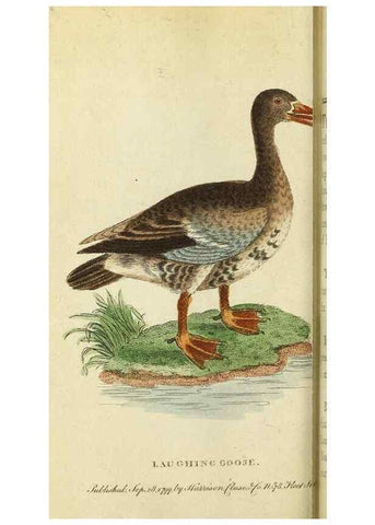 Reproducción/Reproduction 49095362002: The Naturalist's Pocket Magazine or compleat cabinet of the curiosities and beauties of nature.. London.. 