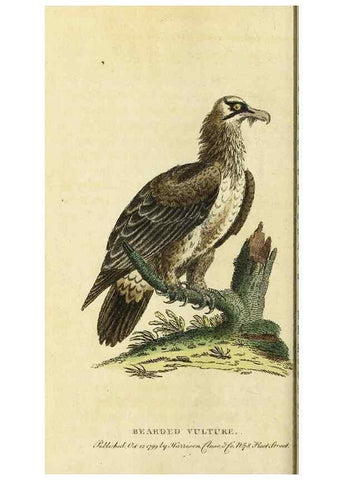 Reproducción/Reproduction 49095364057: The Naturalist's Pocket Magazine or compleat cabinet of the curiosities and beauties of nature.. London.. 