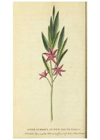 Reproducción/Reproduction 49095358752: The Naturalist's Pocket Magazine or compleat cabinet of the curiosities and beauties of nature.. London.. 