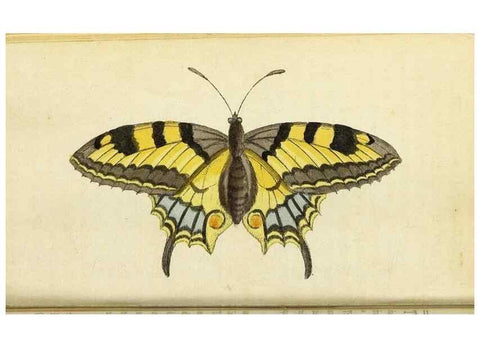 Reproducción/Reproduction 49095358067: The Naturalist's Pocket Magazine or compleat cabinet of the curiosities and beauties of nature.. London.. 