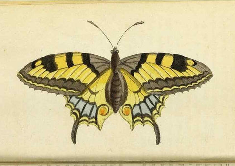 Reproducción/Reproduction 49095358067: The Naturalist's Pocket Magazine or compleat cabinet of the curiosities and beauties of nature.. London.. 