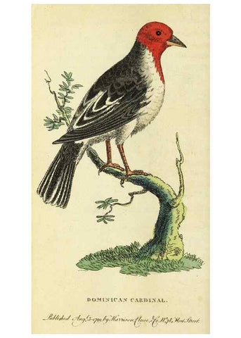 Reproducción/Reproduction 49095166196: The Naturalist's Pocket Magazine or compleat cabinet of the curiosities and beauties of nature.. London.. 