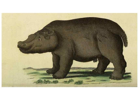 Reproducción/Reproduction 49094657133: The Naturalist's Pocket Magazine or compleat cabinet of the curiosities and beauties of nature.. London.. 