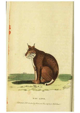 Reproducción/Reproduction 49095898787: The Naturalist's Pocket Magazine or compleat cabinet of the curiosities and beauties of nature.. London.. 