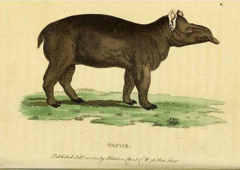 Reproducción/Reproduction 49095909347: The Naturalist's Pocket Magazine or compleat cabinet of the curiosities and beauties of nature.. London.. 