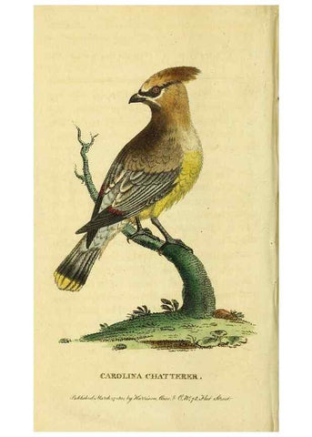 Reproducción/Reproduction 49095715316: The Naturalist's Pocket Magazine or compleat cabinet of the curiosities and beauties of nature.. London.. 