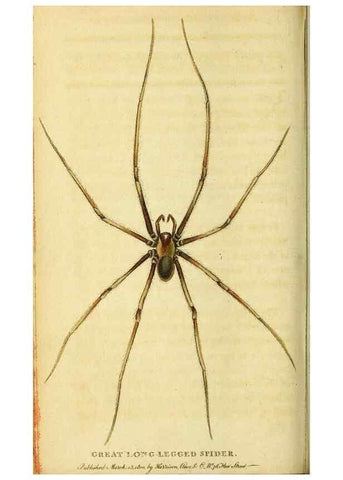 Reproducción/Reproduction 49095712136: The Naturalist's Pocket Magazine or compleat cabinet of the curiosities and beauties of nature.. London.. 