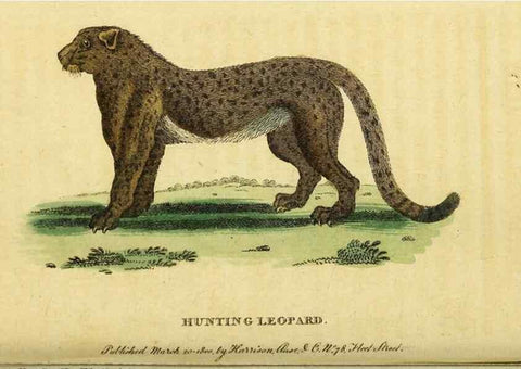 Reproducción/Reproduction 49095712466: The Naturalist's Pocket Magazine or compleat cabinet of the curiosities and beauties of nature.. London.. 