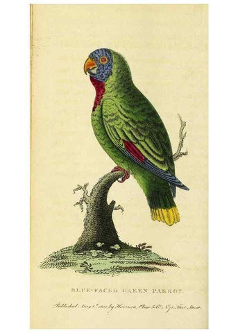 Reproducción/Reproduction 49095205718: The Naturalist's Pocket Magazine or compleat cabinet of the curiosities and beauties of nature.. London.. 