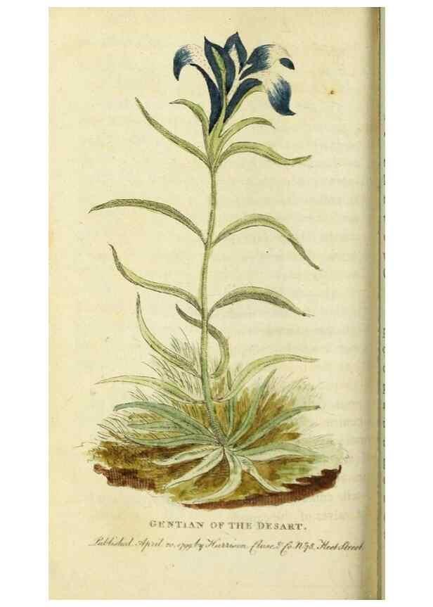 Reproducción/Reproduction 49091372511: The Naturalist's Pocket Magazine or compleat cabinet of the curiosities and beauties of nature.. London.. 