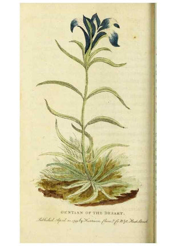 Reproducción/Reproduction 49091372511: The Naturalist's Pocket Magazine or compleat cabinet of the curiosities and beauties of nature.. London.. 