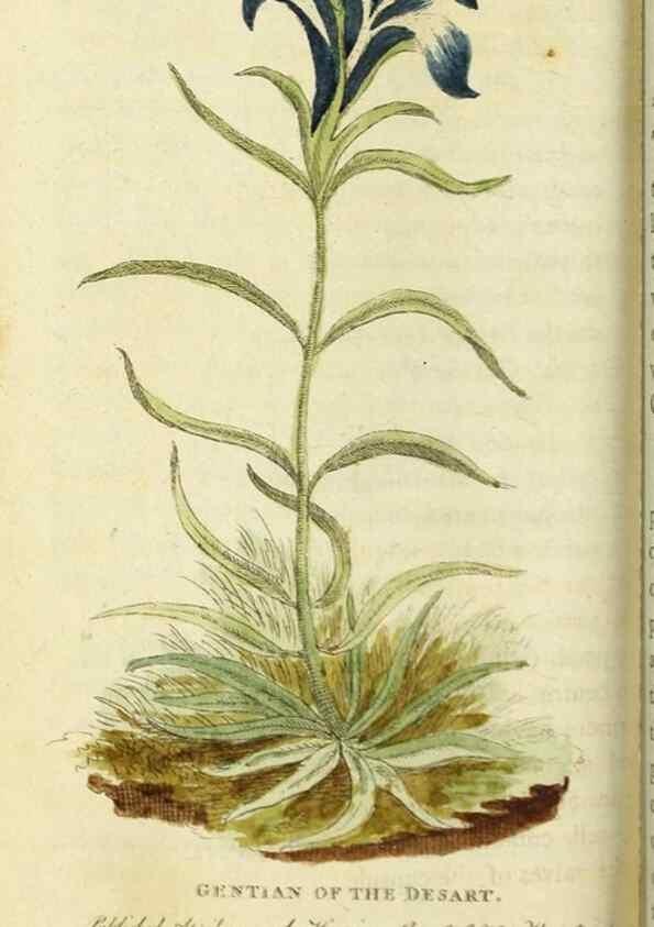 Reproducción/Reproduction 49091372511: The Naturalist's Pocket Magazine or compleat cabinet of the curiosities and beauties of nature.. London.. 