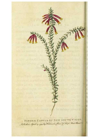Reproducción/Reproduction 49090861653: The Naturalist's Pocket Magazine or compleat cabinet of the curiosities and beauties of nature.. London.. 