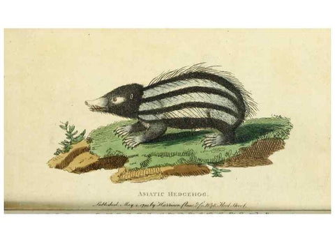 Reproducción/Reproduction 49091373786: The Naturalist's Pocket Magazine or compleat cabinet of the curiosities and beauties of nature.. London.. 
