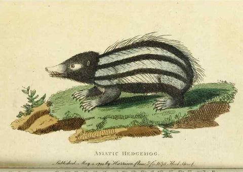 Reproducción/Reproduction 49091373786: The Naturalist's Pocket Magazine or compleat cabinet of the curiosities and beauties of nature.. London.. 
