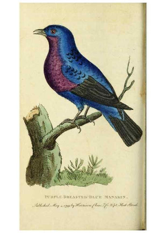 Reproducción/Reproduction 49090862408: The Naturalist's Pocket Magazine or compleat cabinet of the curiosities and beauties of nature.. London.. 