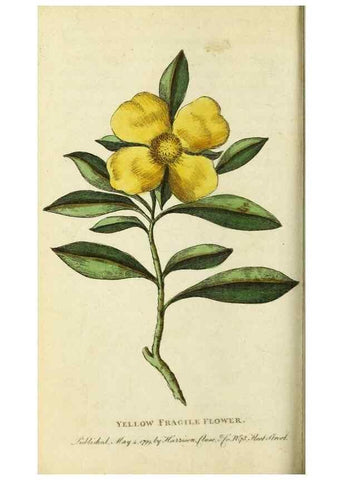 Reproducción/Reproduction 49091576842: The Naturalist's Pocket Magazine or compleat cabinet of the curiosities and beauties of nature.. London.. 