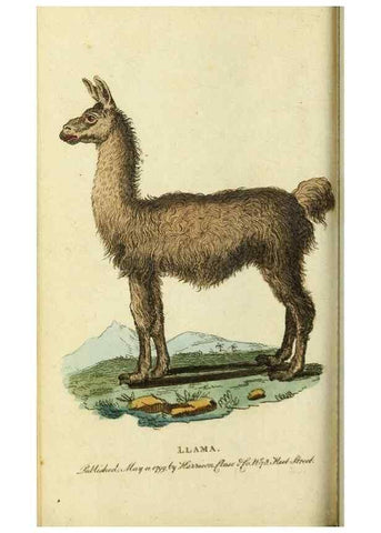 Reproducción/Reproduction 49091374861: The Naturalist's Pocket Magazine or compleat cabinet of the curiosities and beauties of nature.. London.. 