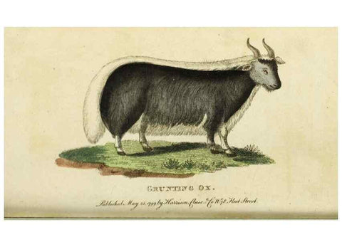 Reproducción/Reproduction 49091579192: The Naturalist's Pocket Magazine or compleat cabinet of the curiosities and beauties of nature.. London.. 