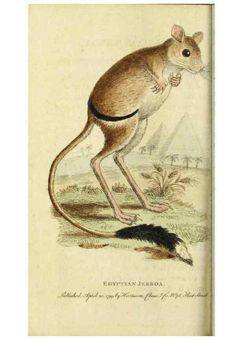 Reproducción/Reproduction 49090860103: The Naturalist's Pocket Magazine or compleat cabinet of the curiosities and beauties of nature.. London.. 