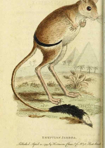 Reproducción/Reproduction 49090860103: The Naturalist's Pocket Magazine or compleat cabinet of the curiosities and beauties of nature.. London.. 