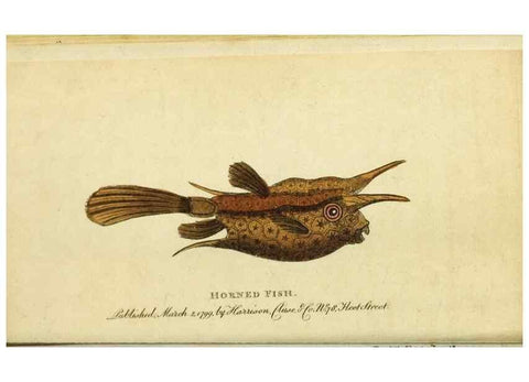 Reproducción/Reproduction 49090847833: The Naturalist's Pocket Magazine or compleat cabinet of the curiosities and beauties of nature.. London.. 