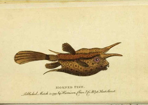 Reproducción/Reproduction 49090847833: The Naturalist's Pocket Magazine or compleat cabinet of the curiosities and beauties of nature.. London.. 