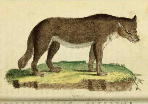 Reproducción/Reproduction 49091562487: The Naturalist's Pocket Magazine or compleat cabinet of the curiosities and beauties of nature.. London.. 