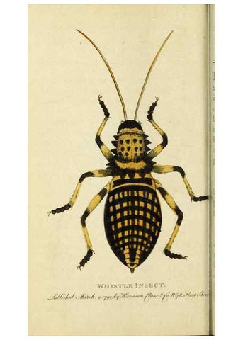 Reproducción/Reproduction 49090848733: The Naturalist's Pocket Magazine or compleat cabinet of the curiosities and beauties of nature.. London.. 