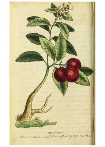 Reproducción/Reproduction 49091565132: The Naturalist's Pocket Magazine or compleat cabinet of the curiosities and beauties of nature.. London.. 