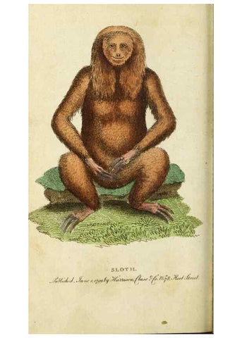 Reproducción/Reproduction 49090865983: The Naturalist's Pocket Magazine or compleat cabinet of the curiosities and beauties of nature.. London.. 