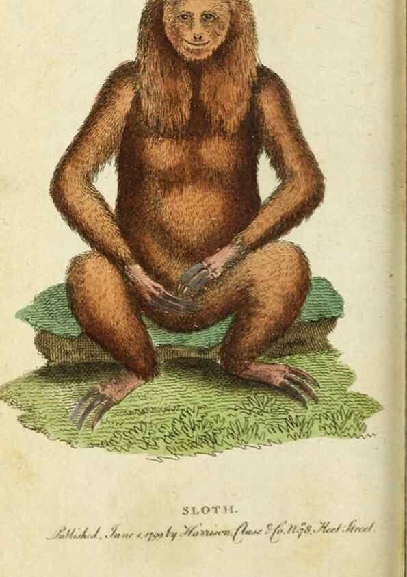 Reproducción/Reproduction 49090865983: The Naturalist's Pocket Magazine or compleat cabinet of the curiosities and beauties of nature.. London.. 