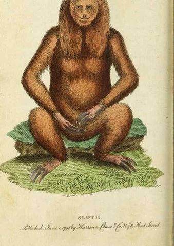 Reproducción/Reproduction 49090865983: The Naturalist's Pocket Magazine or compleat cabinet of the curiosities and beauties of nature.. London.. 