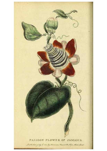 Reproducción/Reproduction 49096236481: The Naturalist's Pocket Magazine or compleat cabinet of the curiosities and beauties of nature.. London.. 