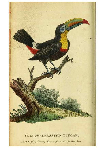 Reproducción/Reproduction 49096428542: The Naturalist's Pocket Magazine or compleat cabinet of the curiosities and beauties of nature.. London.. 