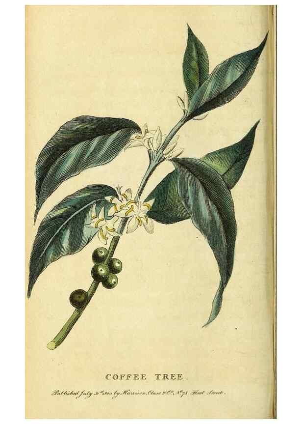 Reproducción/Reproduction 49095726683: The Naturalist's Pocket Magazine or compleat cabinet of the curiosities and beauties of nature.. London.. 