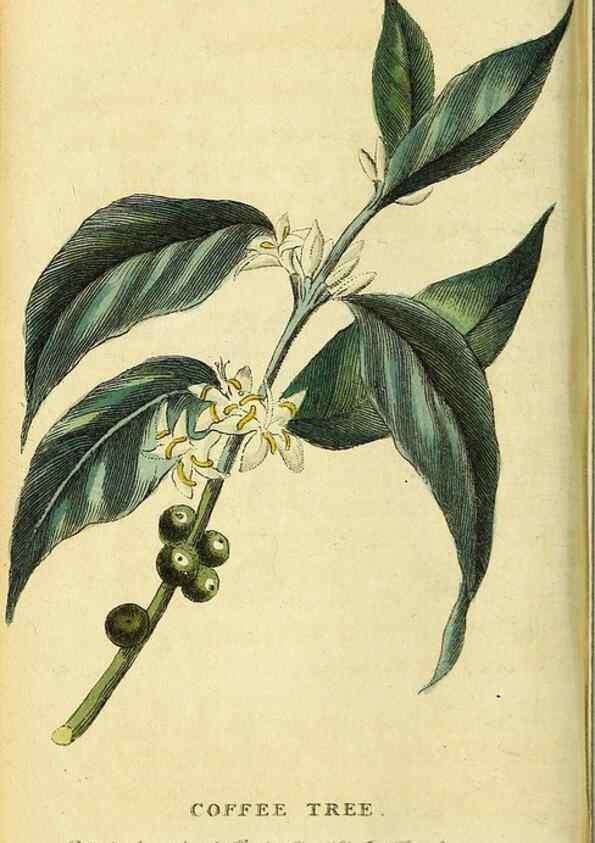 Reproducción/Reproduction 49095726683: The Naturalist's Pocket Magazine or compleat cabinet of the curiosities and beauties of nature.. London.. 