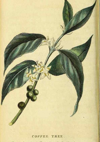 Reproducción/Reproduction 49095726683: The Naturalist's Pocket Magazine or compleat cabinet of the curiosities and beauties of nature.. London.. 