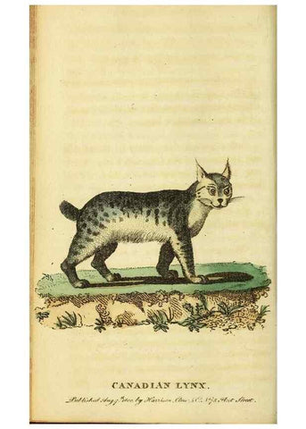 Reproducción/Reproduction 49095727043: The Naturalist's Pocket Magazine or compleat cabinet of the curiosities and beauties of nature.. London.. 