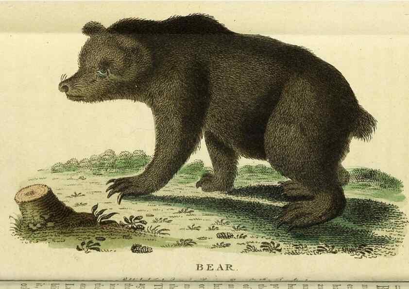 Reproducción/Reproduction 49096235601: The Naturalist's Pocket Magazine or compleat cabinet of the curiosities and beauties of nature.. London.. 