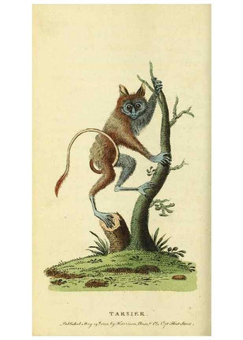Reproducción/Reproduction 49095914402: The Naturalist's Pocket Magazine or compleat cabinet of the curiosities and beauties of nature.. London.. 