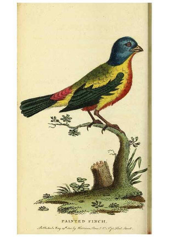 Reproducción/Reproduction 49095208763: The Naturalist's Pocket Magazine or compleat cabinet of the curiosities and beauties of nature.. London.. 