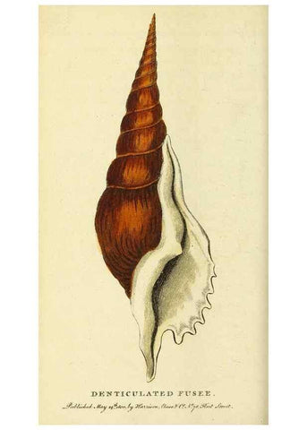 Reproducción/Reproduction 49095915007: The Naturalist's Pocket Magazine or compleat cabinet of the curiosities and beauties of nature.. London.. 