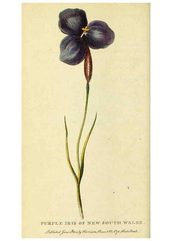 Reproducción/Reproduction 49095915867: The Naturalist's Pocket Magazine or compleat cabinet of the curiosities and beauties of nature.. London.. 