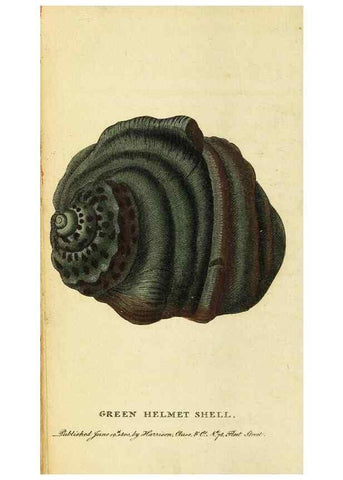 Reproducción/Reproduction 49095727386: The Naturalist's Pocket Magazine or compleat cabinet of the curiosities and beauties of nature.. London.. 