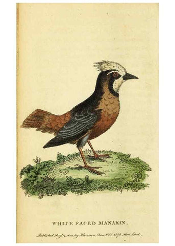 Reproducción/Reproduction 49096242581: The Naturalist's Pocket Magazine or compleat cabinet of the curiosities and beauties of nature.. London.. 