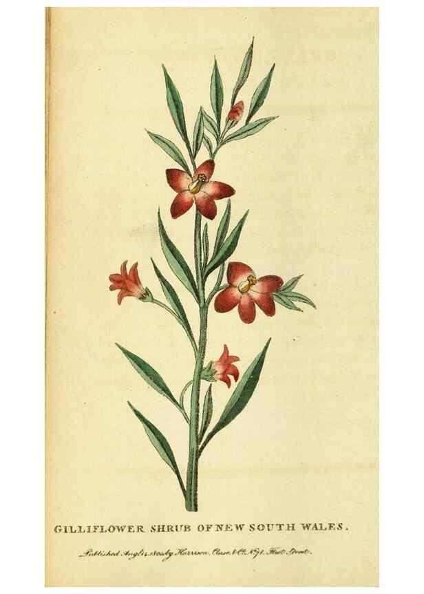 Reproducción/Reproduction 49096434092: The Naturalist's Pocket Magazine or compleat cabinet of the curiosities and beauties of nature.. London.. 