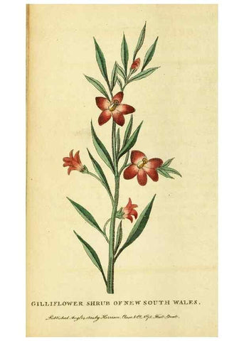 Reproducción/Reproduction 49096434092: The Naturalist's Pocket Magazine or compleat cabinet of the curiosities and beauties of nature.. London.. 